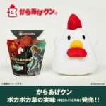 ローソン ゼルダの伝説 LAWSON ポカポカ草の実 japanesefood instagood foodstagram foodpics